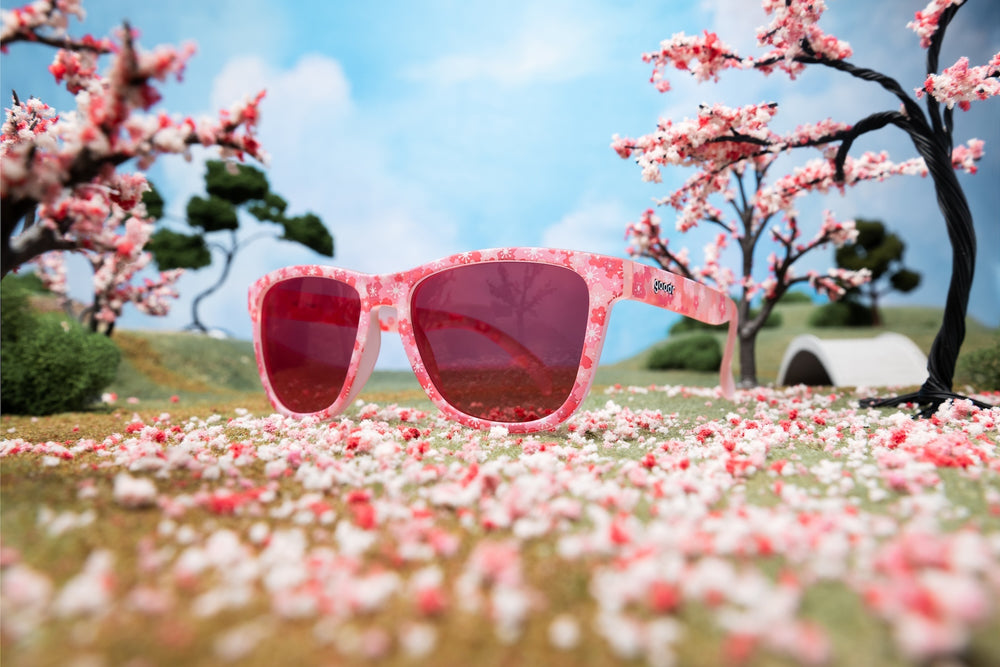 SAKURA SHOWTIME